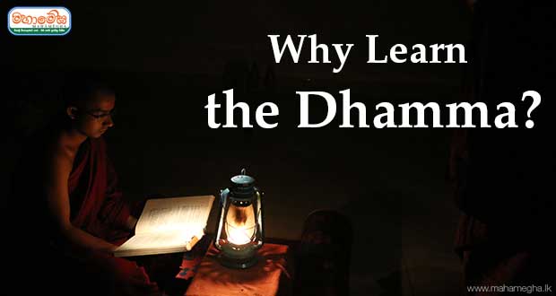 Why Learn the Dhamma?