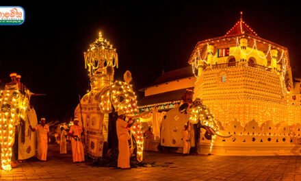 මුනි ගුණය ප්‍රකට කළ සදත් පරපුර